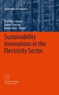 Sustainability Innovations in the Electricity Sect
