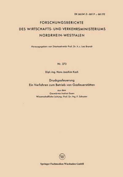 Druckgasfeuerung Ein Verfahren zum Betrieb von Gasfeuerstätten