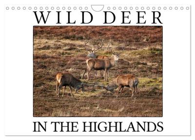 Wild Deer In The Highlands (Wall Calendar 2026 DIN A4 landscape), CALVENDO 12 Month Wall Calendar