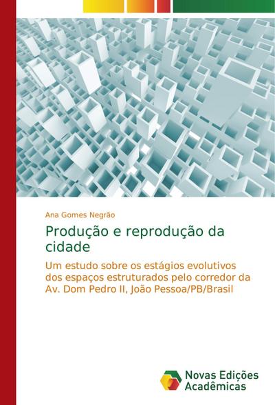 Produção e reprodução da cidade - Ana Gomes Negrão