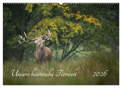Unsere heimische Tierwelt (Wandkalender 2026 DIN A2 quer), CALVENDO Monatskalender