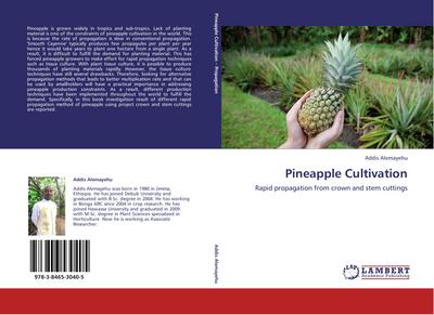 Pineapple Cultivation