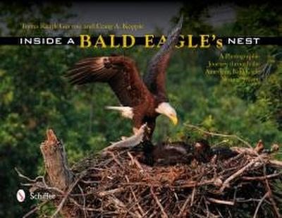 Inside a Bald Eagle’s Nest