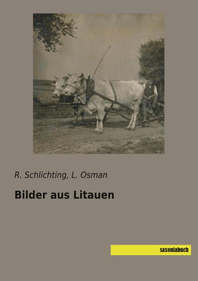 Bilder aus Litauen