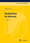 Strafsachen im Internet