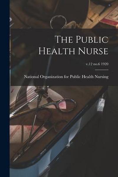 The Public Health Nurse; v.12 no.6 1920