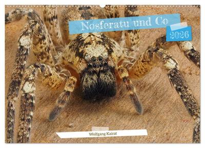 Nosferatu und Co. (Wandkalender 2026 DIN A2 quer), CALVENDO Monatskalender