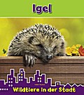 Igel