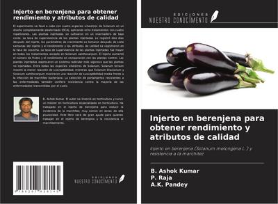 Injerto en berenjena para obtener rendimiento y atributos de calidad