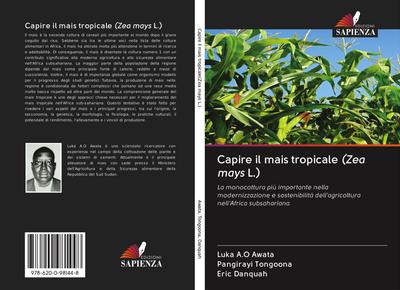 Capire il mais tropicale (Zea mays L.)