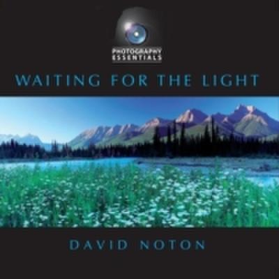 Waiting for the Light
