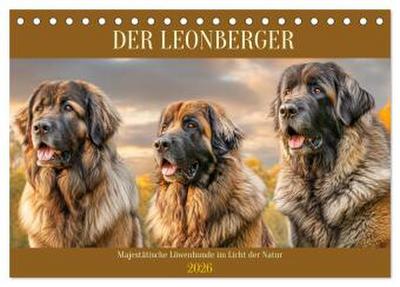 Der Leonberger. Majestätische Löwenhunde im Licht der Natur (Tischkalender 2026 DIN A5 quer), CALVENDO Monatskalender