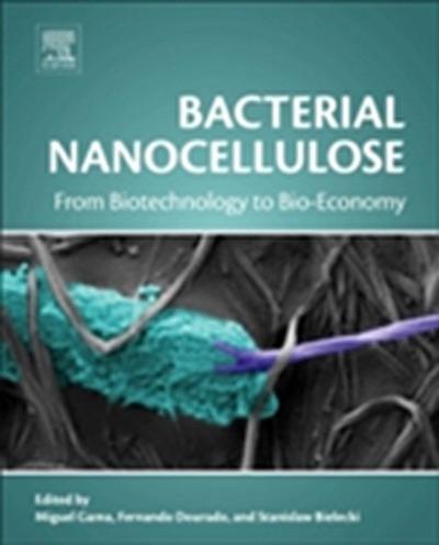 Bacterial Nanocellulose