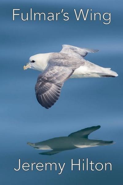 Fulmar’s Wing