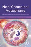 Non-Canonical Autophagy