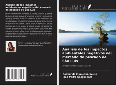 Análisis de los impactos ambientales negativos del mercado de pescado de São Luis