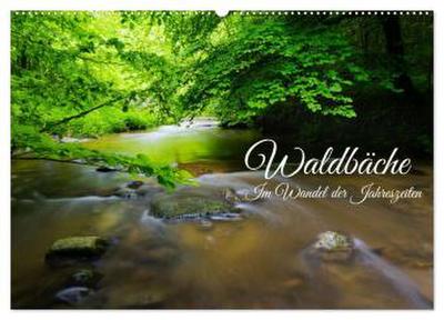 Waldbäche - Im Wandel der Jahreszeiten (Wandkalender 2026 DIN A2 quer), CALVENDO Monatskalender