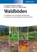 Waldböden: Ein Bildatlas der Wichtigsten Bodentypen aus Österreich, Deutschland und der Schweiz