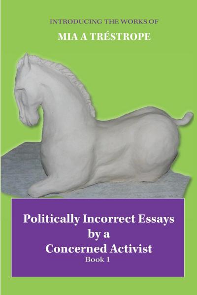 Politically Incorrect Essays by a Concerned Activist: Book 1