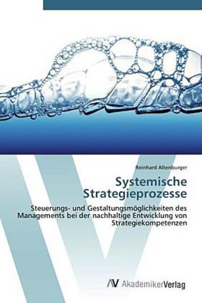 Systemische Strategieprozesse