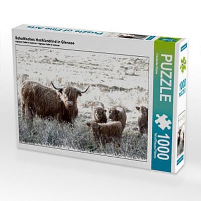 Schottisches Hochlandrind in Glencoe (Puzzle)