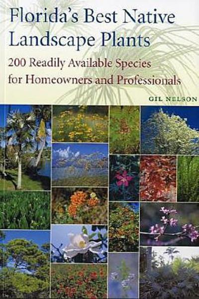 Florida’s Best Native Landscape Plants