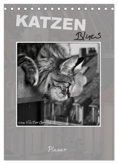 Katzen Blues / Planer (Tischkalender 2024 DIN A5 hoch), CALVENDO Monatskalender