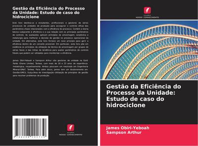 Gestão da Eficiência do Processo da Unidade: Estudo de caso do hidrociclone