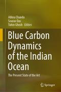 Blue Carbon Dynamics of the Indian Ocean