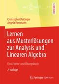 Lernen aus Musterlösungen zur Analysis und Linearen Algebra