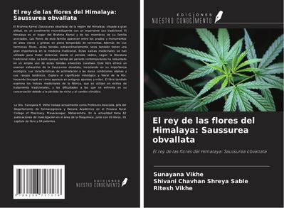 El rey de las flores del Himalaya: Saussurea obvallata