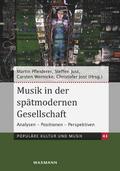 Musik in der spätmodernen Gesellschaft