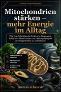Mitochondrien stärken – mehr Energie im Alltag