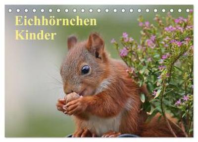 Eichhörnchen Kinder (Tischkalender 2026 DIN A5 quer), CALVENDO Monatskalender