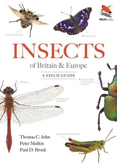Insects of Britain and Europe