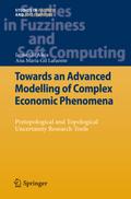 Towards an Advanced Modelling of Complex Economic Phenomena