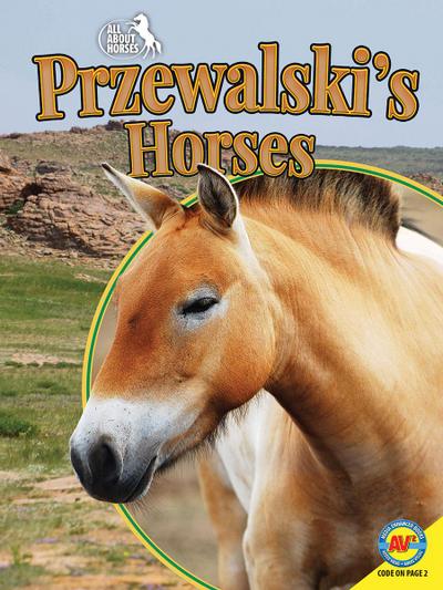 Przewalski’s Horses