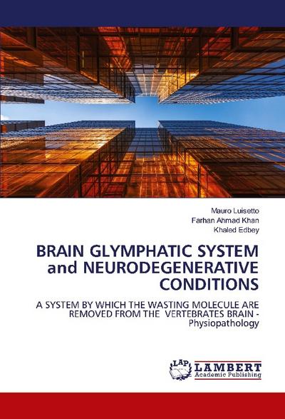 BRAIN GLYMPHATIC SYSTEM and NEURODEGENERATIVE CONDITIONS