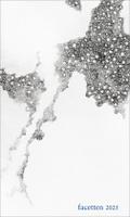 Facetten 2025