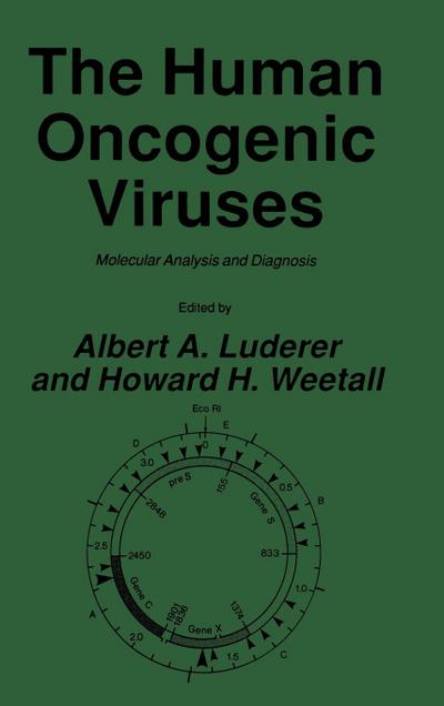 The Human Oncogenic Viruses