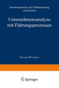 Unternehmensanalyse mit Führungsprozessen