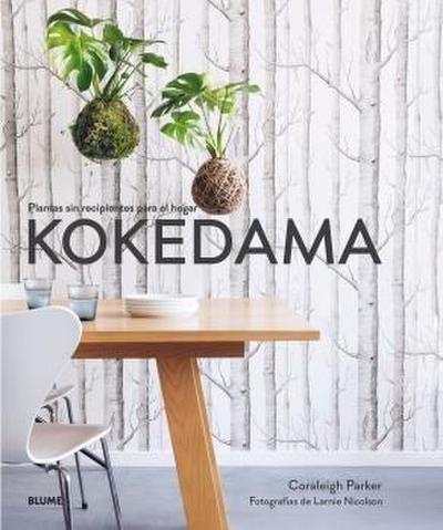 Kokedama : plantas sin recipientes para el hogar