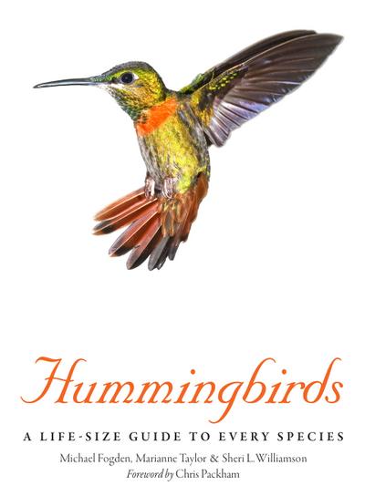 Hummingbirds