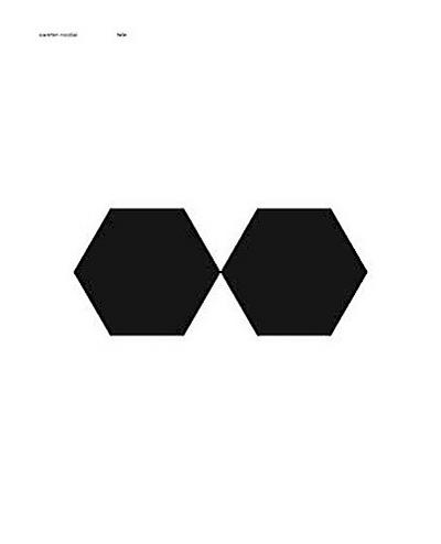 Carsten Nicolai - tele