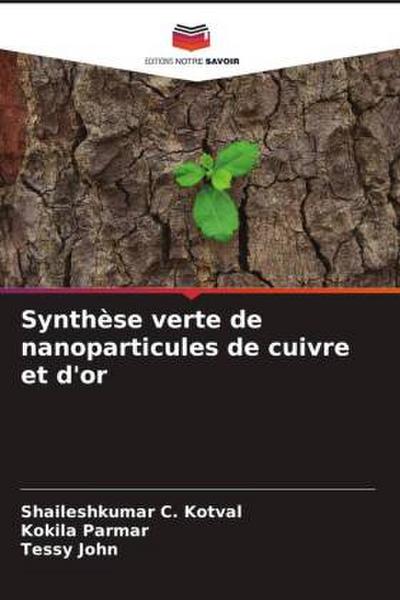 Synthèse verte de nanoparticules de cuivre et d’or