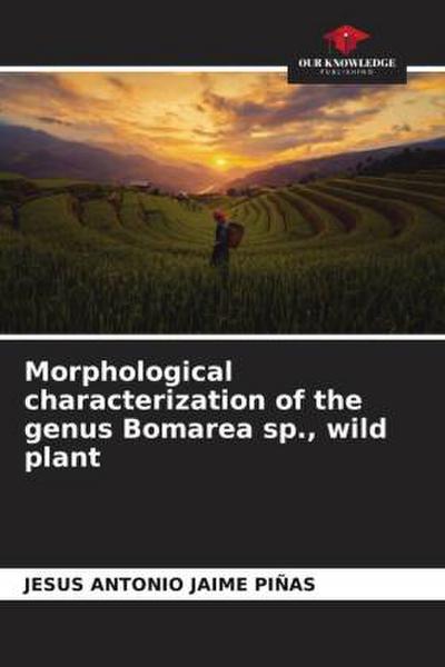 Morphological characterization of the genus Bomarea sp., wild plant