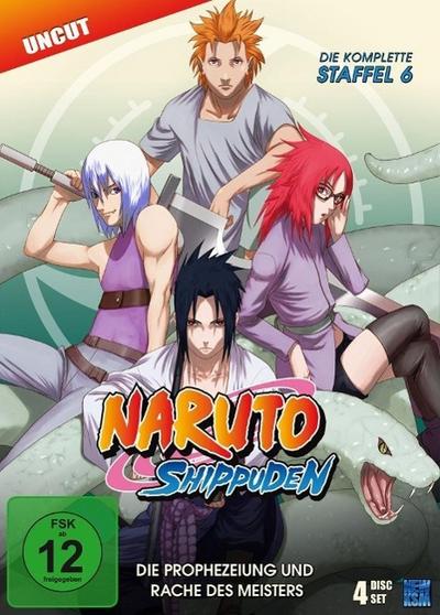 Naruto Shippuden - Staffel 6 (F.333-363)