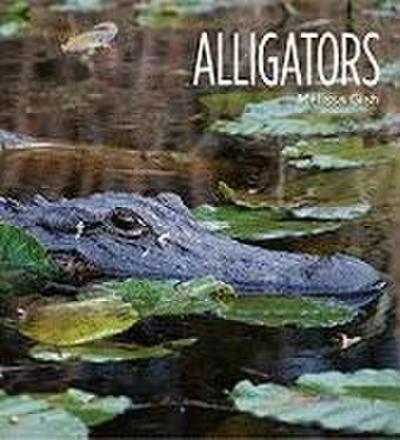 Alligators