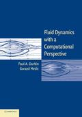 Fluid Dynamics with a Computational Perspective
