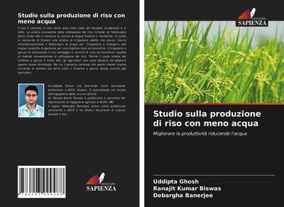 Studio sulla produzione di riso con meno acqua